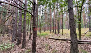 Działka rolna Krasiejów