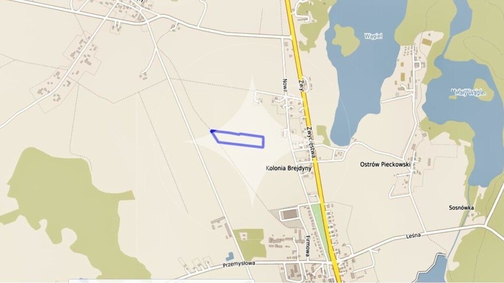 Działka rolna Piecki. Zdjęcie 4