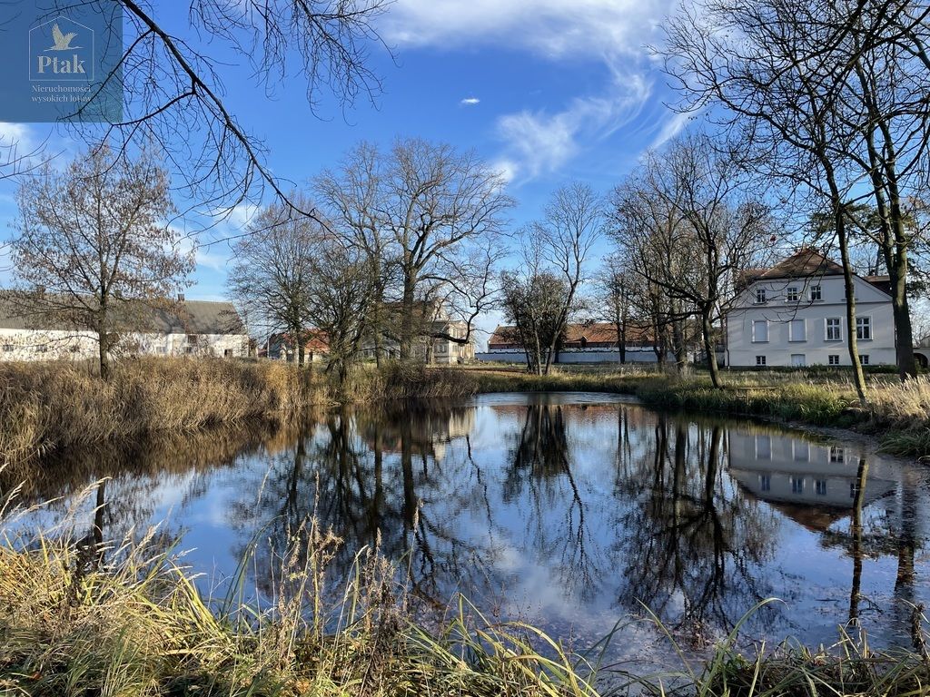 dworek, 20 pokoi Bojanowo. Zdjęcie 8