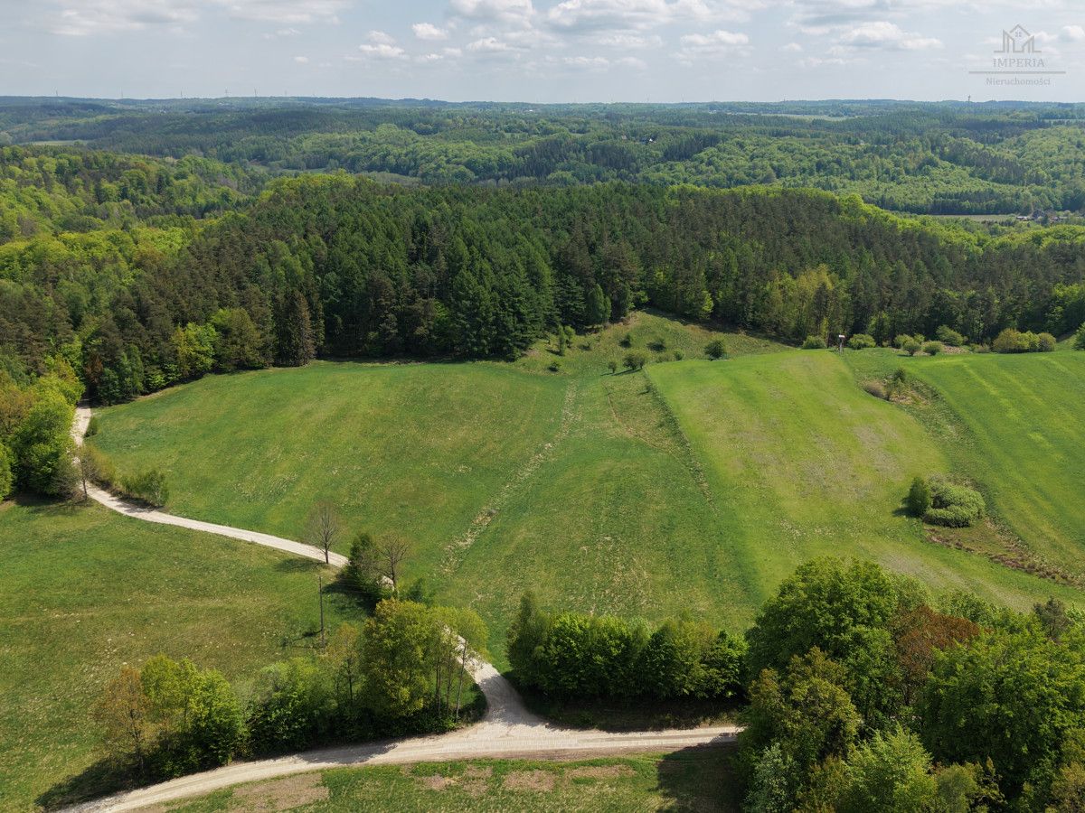 Działka budowlana Michalin, ul. Leśna Dąbrowa. Zdjęcie 4