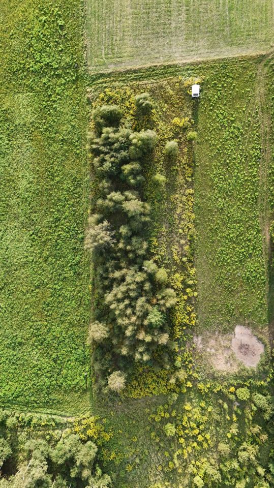 Działka rolna Biały Kościół. Zdjęcie 5