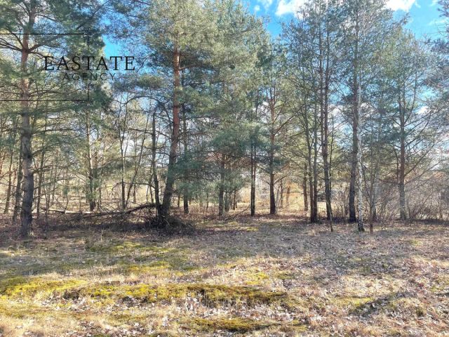 Działka inwestycyjna Józefów, ul. Owsiana. Zdjęcie 3