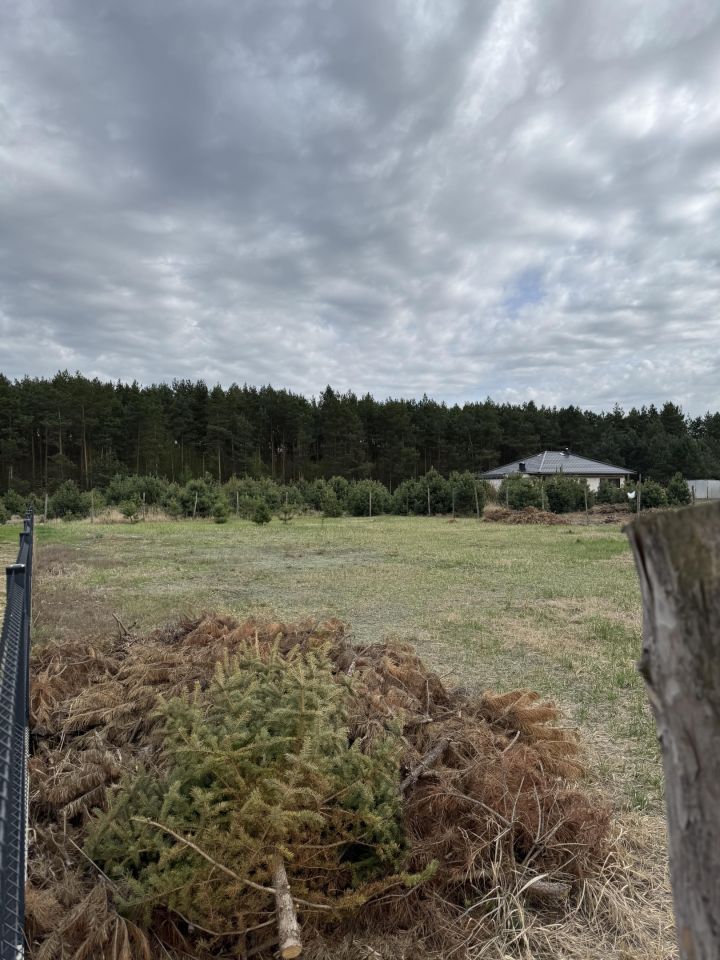 Działka budowlana Ostrowiec Świętokrzyski Gutwin, ul. Irysowa. Zdjęcie 6