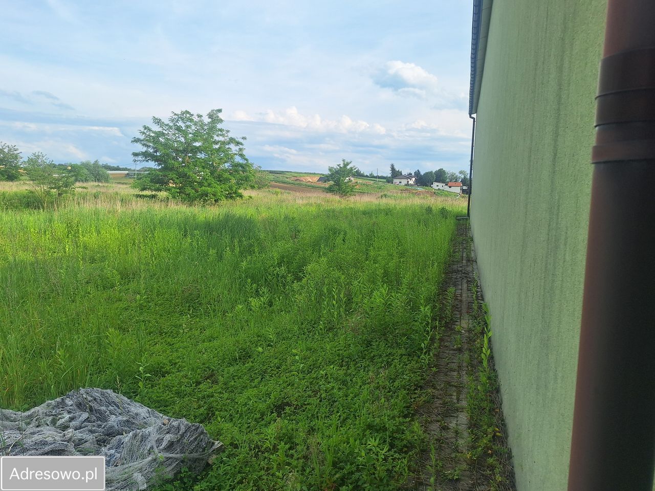 Hala/magazyn Wronin. Zdjęcie 9