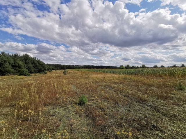 Działka budowlana Dolnik. Zdjęcie 14