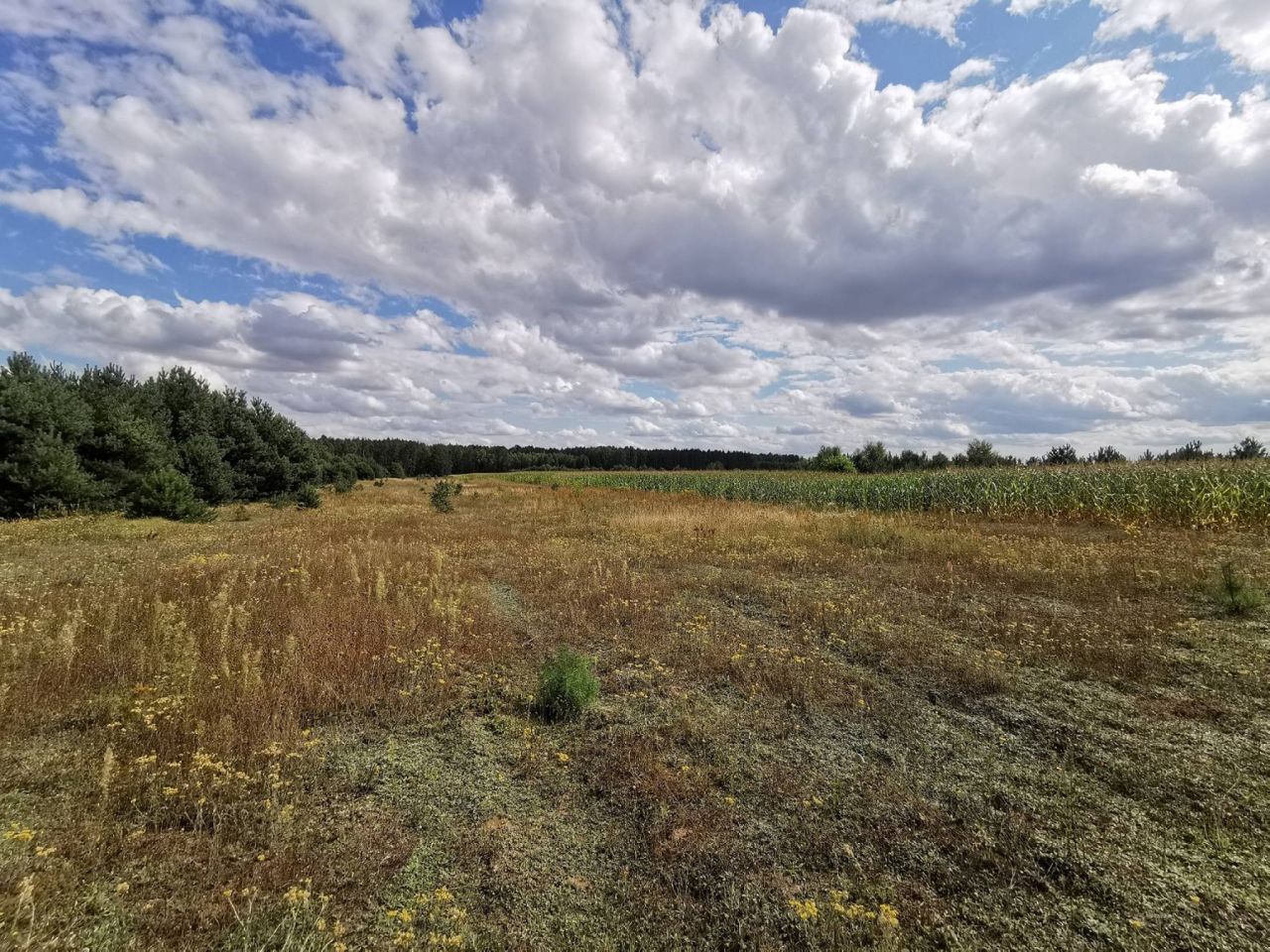 Działka budowlana Dolnik. Zdjęcie 14