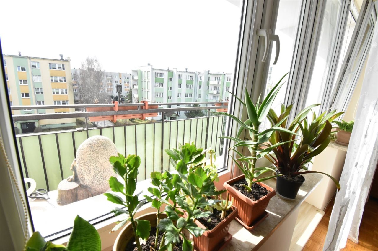 Mieszkanie 3-pokojowe Bydgoszcz Fordon, ul. Jeremiego Przybory. Zdjęcie 5