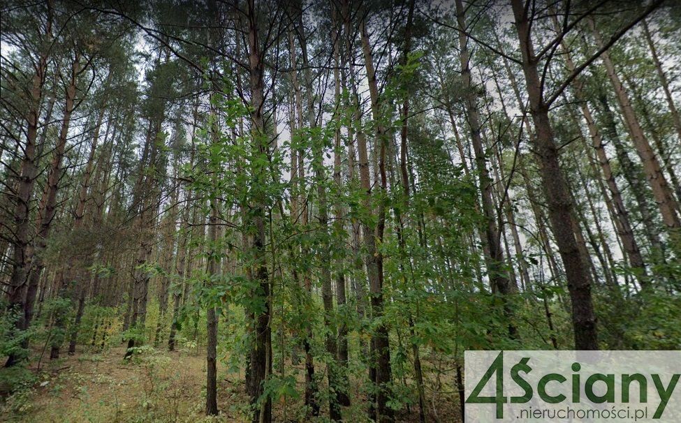 Działka budowlana Ojrzanów. Zdjęcie 2
