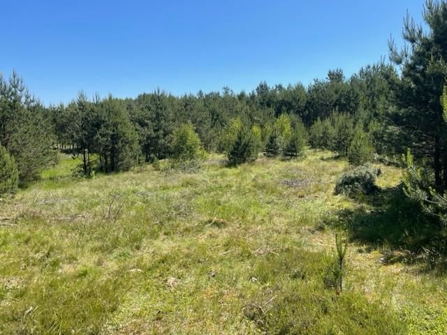 Działka rekreacyjna Borucino