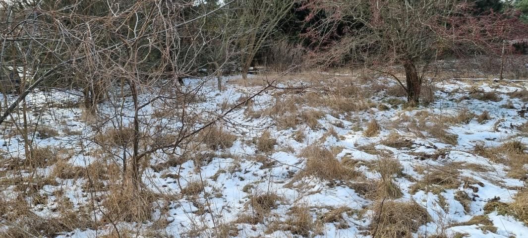 Działka budowlana Rusiec. Zdjęcie 6