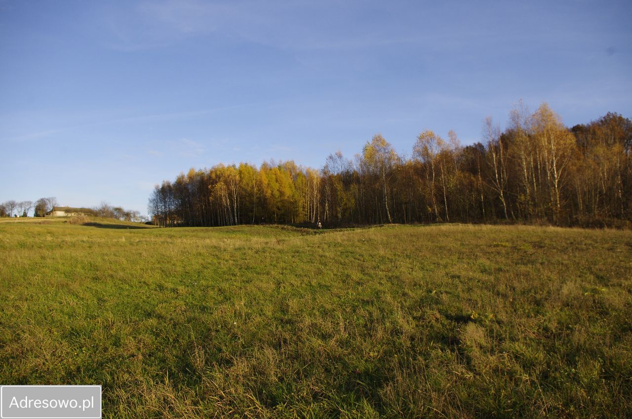 Działka budowlana Wiśniowa. Zdjęcie 3