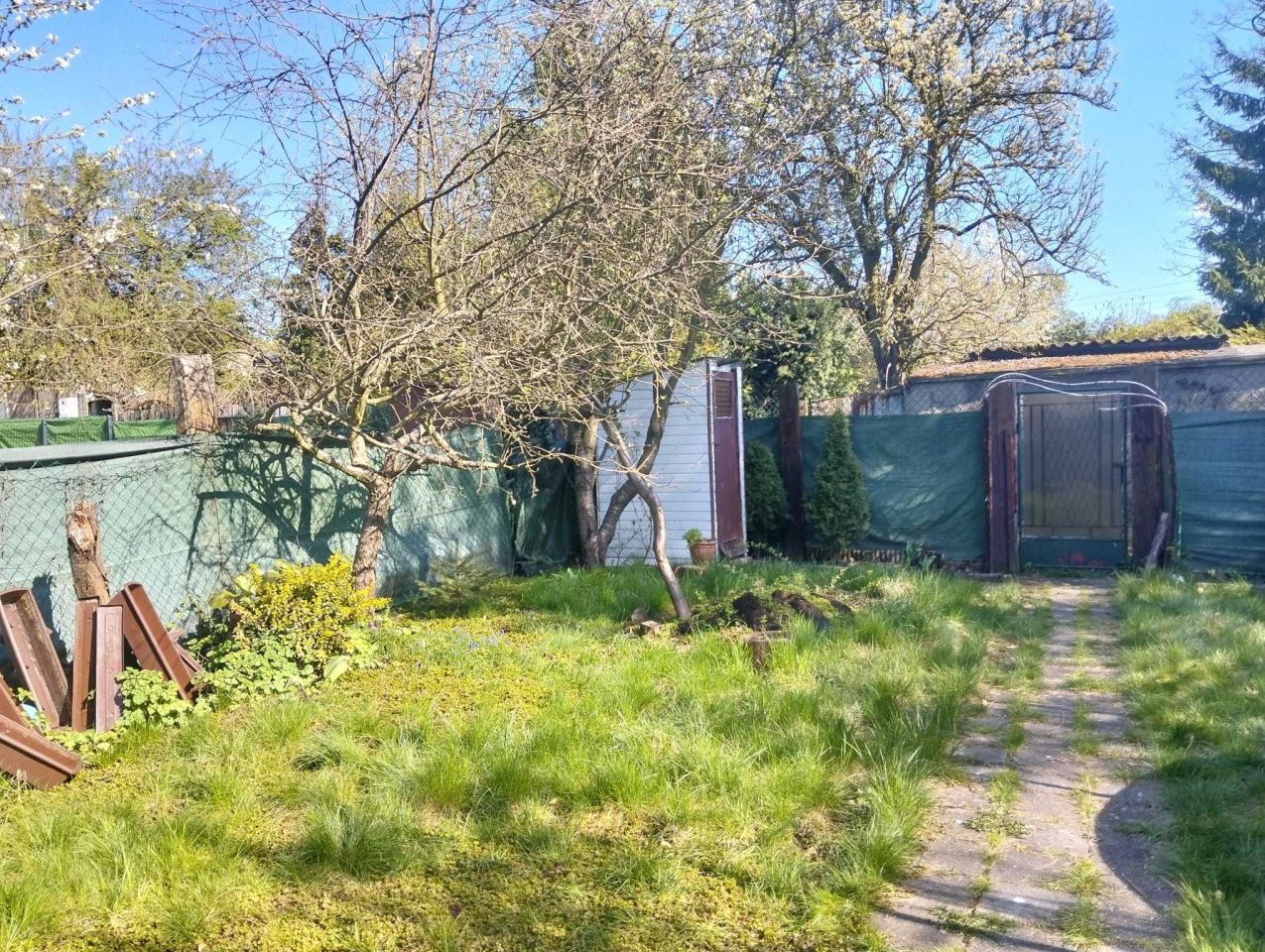 Działka rod Katowice Śródmieście, ul. Raciborska. Zdjęcie 2