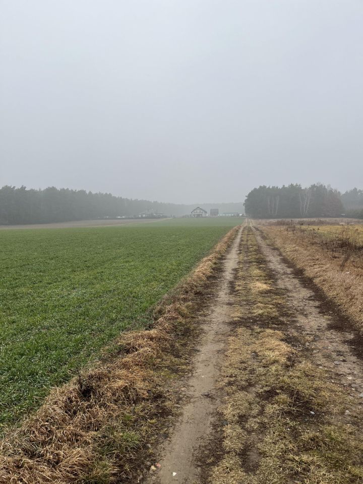 Działka budowlana Ludwikowo. Zdjęcie 2