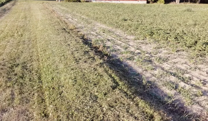 siedlisko, 2 pokoje Mościska-Kolonia