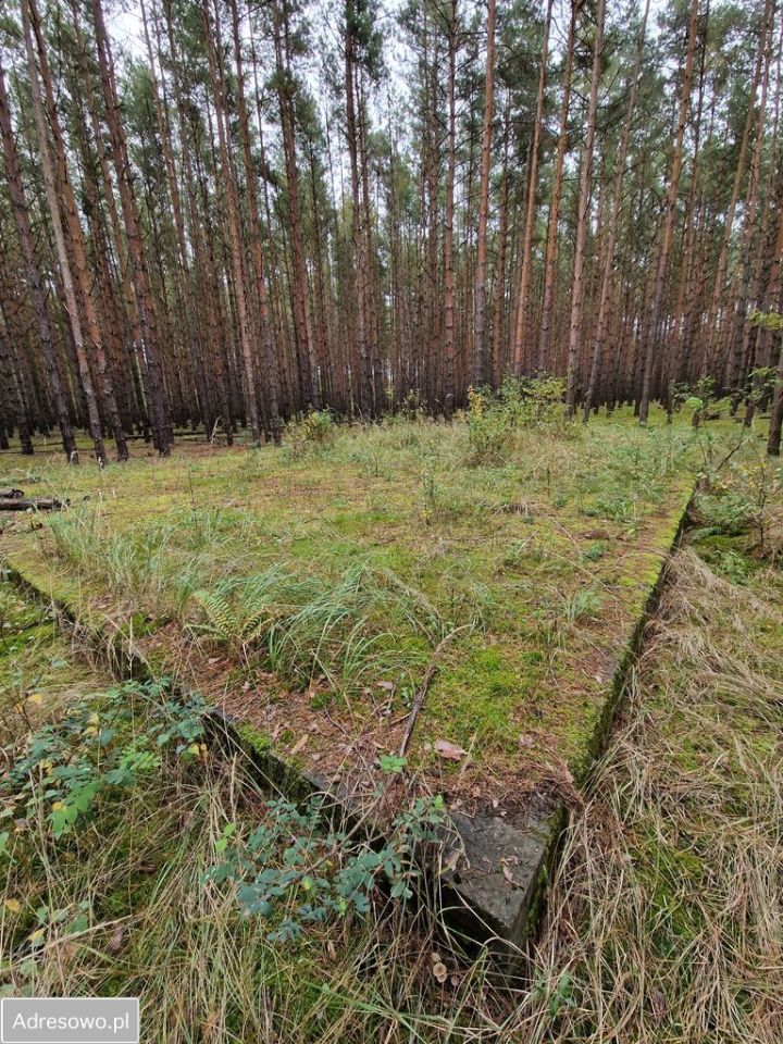 Działka Miastko, ul. Klonowa. Zdjęcie 8