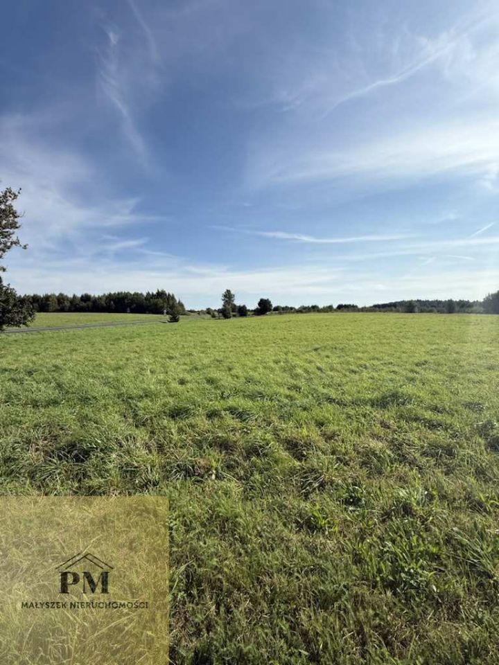 Działka rolna Kłanino. Zdjęcie 5