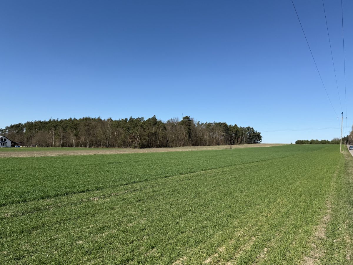 Działka budowlana Skórka. Zdjęcie 4