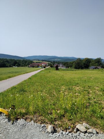 Działka budowlana Klecza Dolna, ul. Wielka Góra. Zdjęcie 1