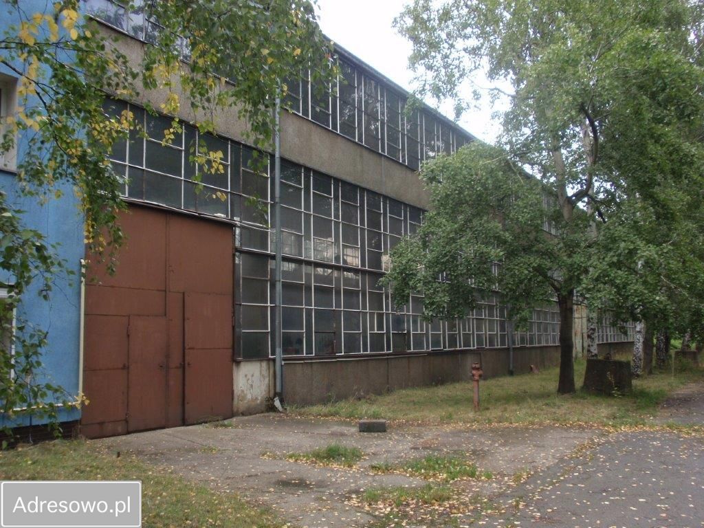 Hala/magazyn Ząbkowice Śląskie. Zdjęcie 6