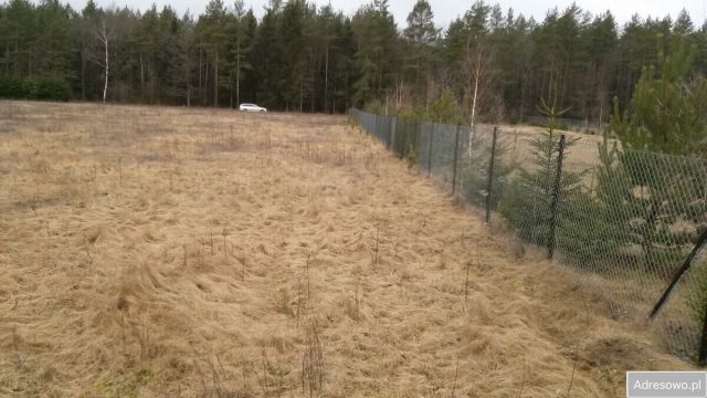 Działka budowlana Danowskie. Zdjęcie 1