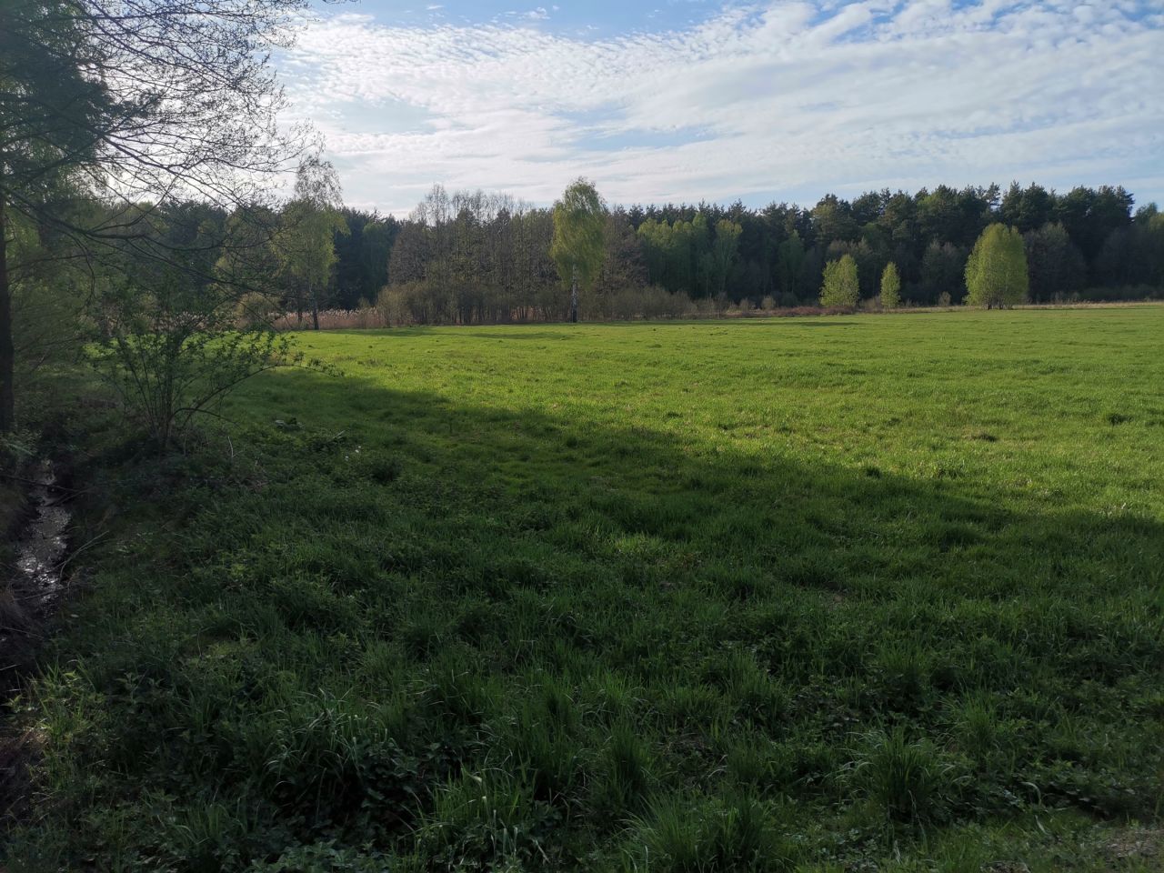 Działka budowlana Bujny Księże. Zdjęcie 10