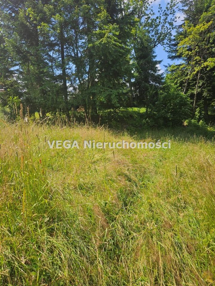 Działka budowlana Zakopane. Zdjęcie 4