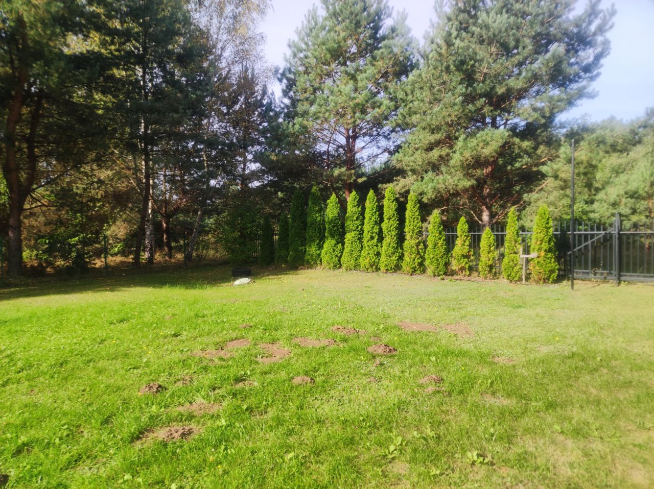 Działka rekreacyjna Zwierzewo. Zdjęcie 14