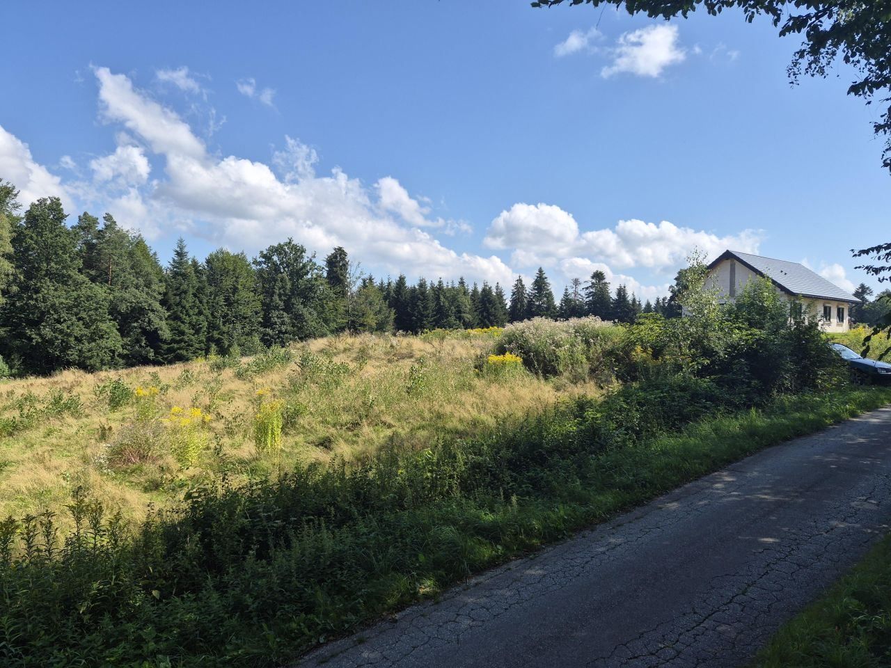 Działka budowlana Kipszna. Zdjęcie 13