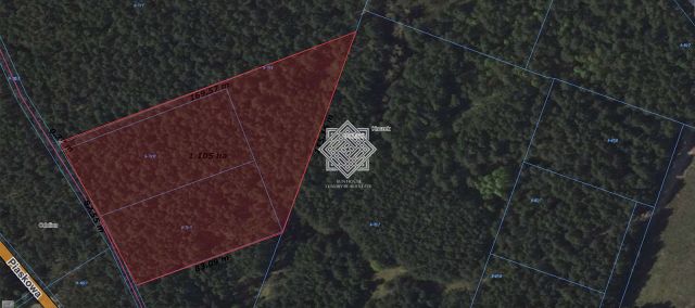 Działka leśna Kuczek. Zdjęcie 2