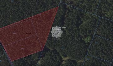 Działka leśna Kuczek