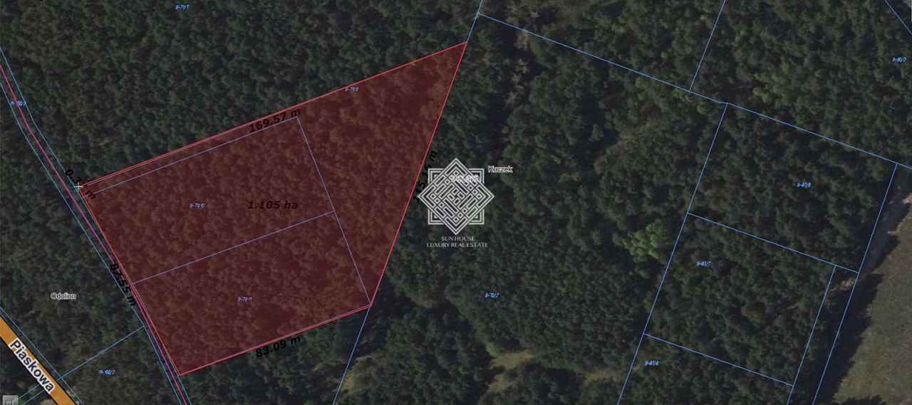 Działka leśna Kuczek. Zdjęcie 2