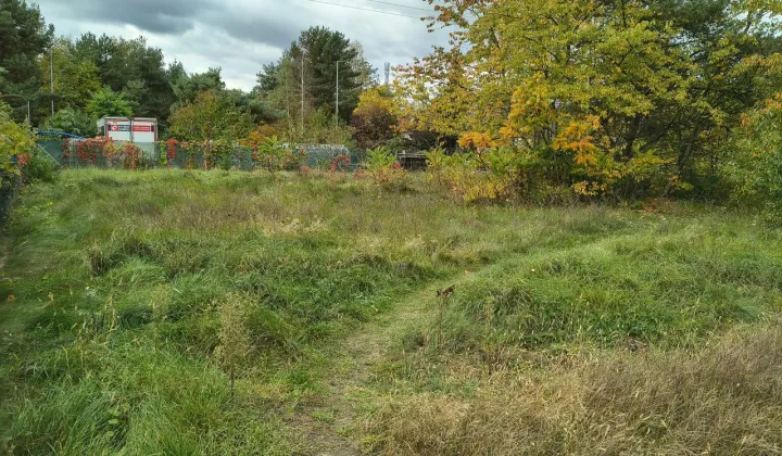 Działka rekreacyjna Wieleń, ul. Południowa