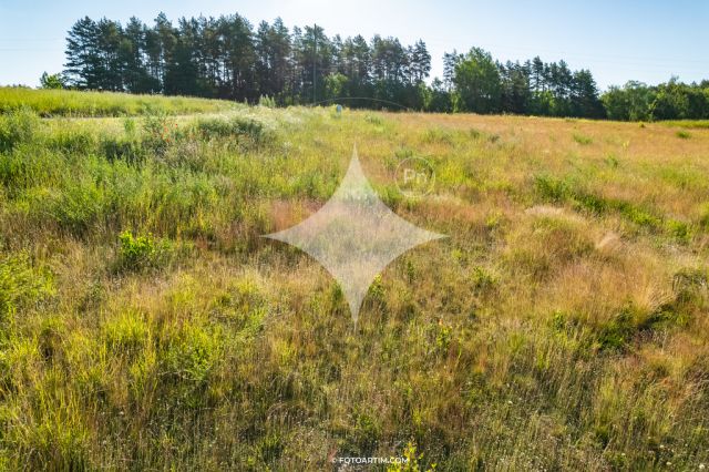 Działka budowlana Kosewo. Zdjęcie 14