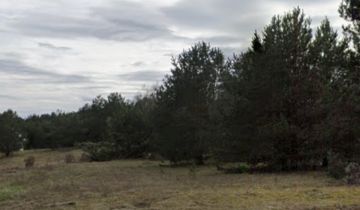 Działka rekreacyjna Łubiana, Leśna