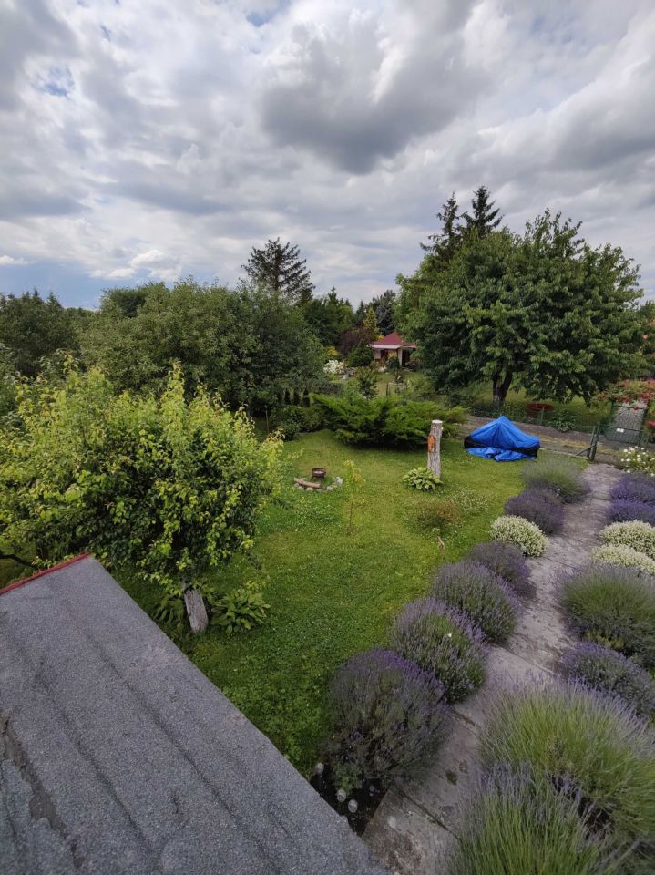 Działka rod Grudziądz, ul. Alojzego Ruchniewicza. Zdjęcie 3