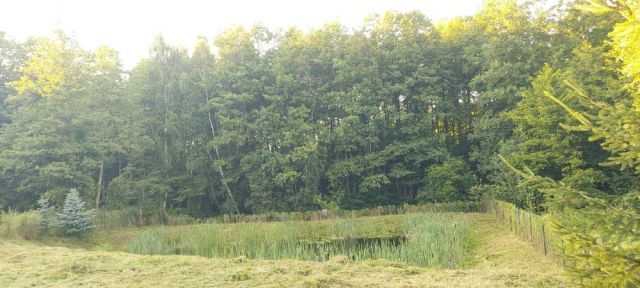 Działka budowlana Ruda. Zdjęcie 1