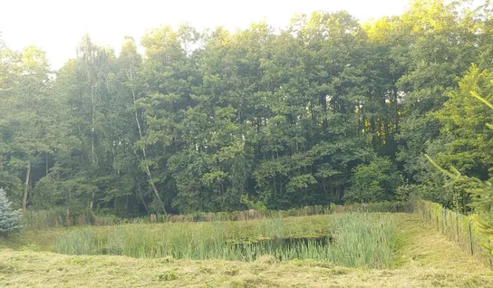 Działka budowlana Ruda
