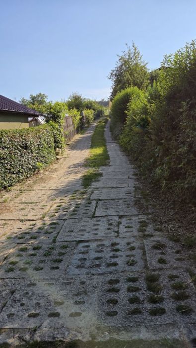 Działka rod Gdańsk Morena, ul. Łabędzia. Zdjęcie 8