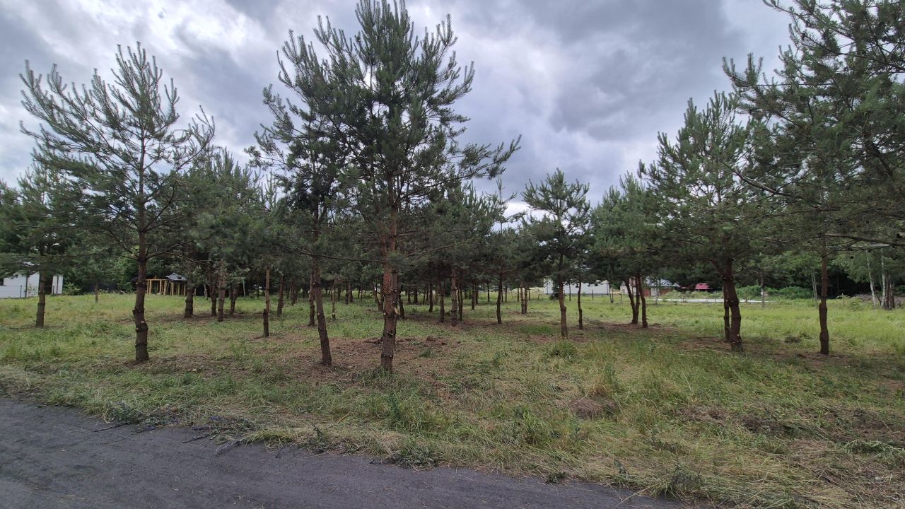 Działka budowlana Białystok Dojlidy, ul. Margerytki. Zdjęcie 11