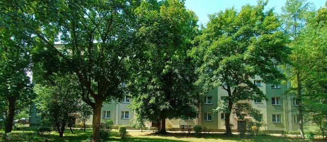 Mieszkanie 2-pokojowe Ruda Śląska Halemba, ul. Międzyblokowa. Zdjęcie 1