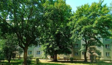 Mieszkanie 2-pokojowe Ruda Śląska Halemba, ul. Międzyblokowa