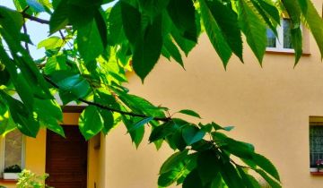 dom wolnostojący, 4 pokoje Szczecinek, ul. Szczecińska