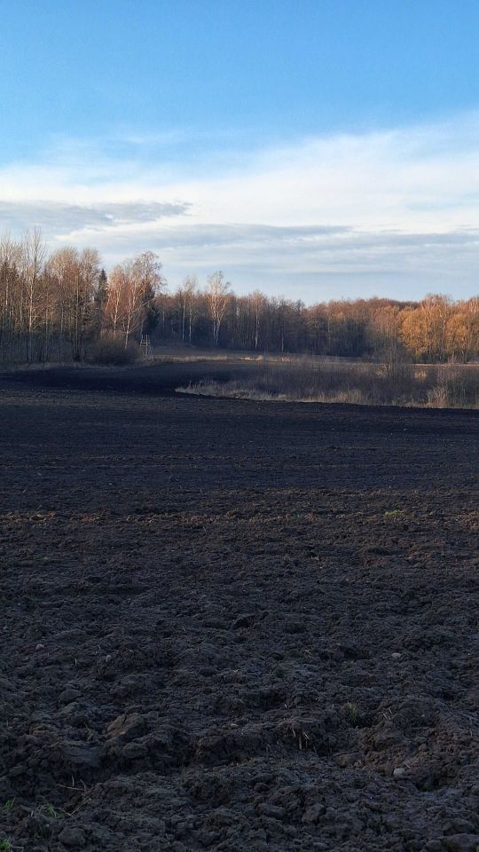 Działka rolna Włosty. Zdjęcie 2