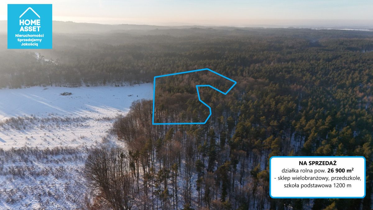 Działka rolna Bieszkowice. Zdjęcie 6