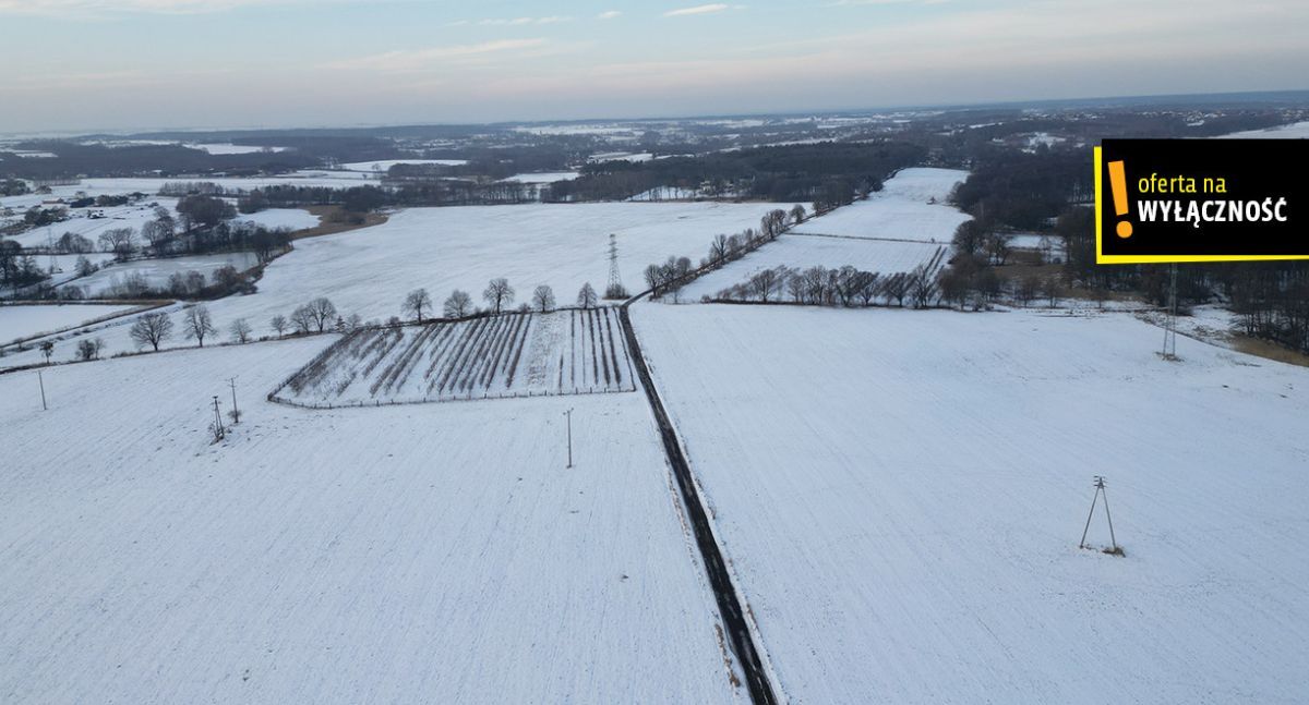 Działka budowlana Pszów Krzyżkowice, ul. gen. Stefana Grota-Roweckiego. Zdjęcie 4