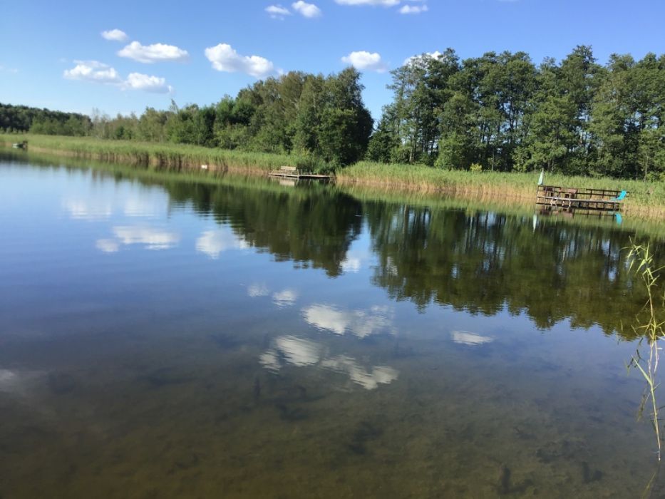 Działka rolna Stare Kiełbonki. Zdjęcie 6