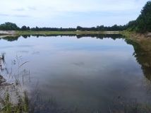 Działka inwestycyjna Nowa Grobla Hamernia. Zdjęcie 2