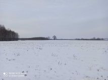 Działka budowlana Falczewo. Zdjęcie 3