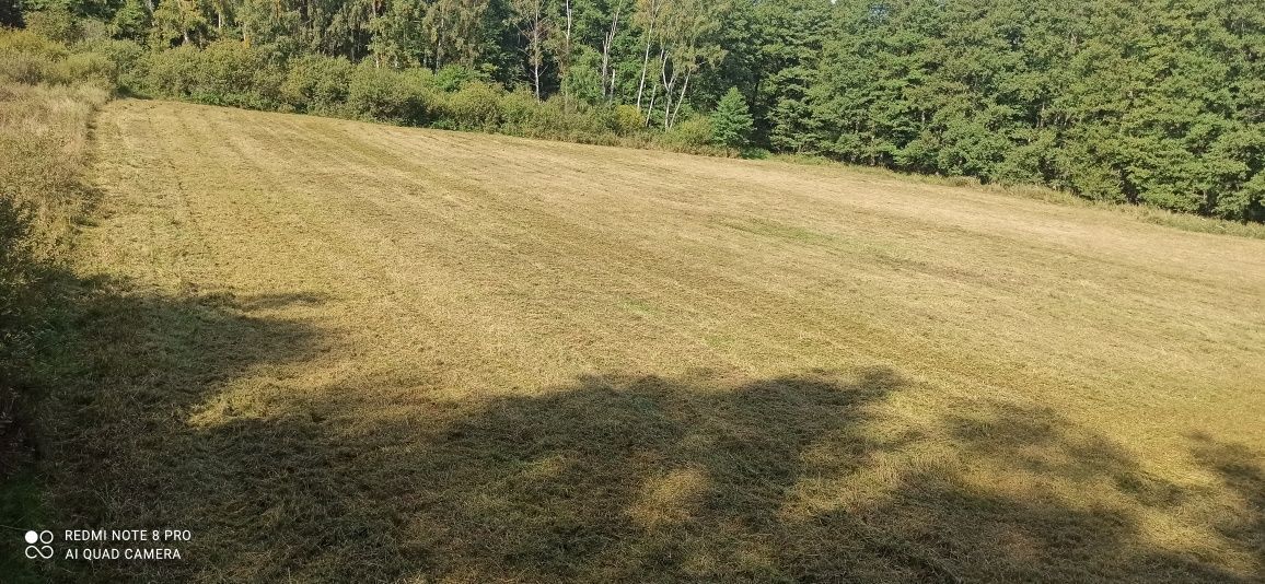 Działka rolna Sterławki Wielkie. Zdjęcie 4