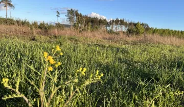Działka na sprzedaż bez pośredników          
          
            ul. Topolowa          
          
            Żołędowo – další